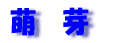 萌 芽 〜 開 花